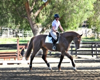 NASST 25 Emeralo BF 7660