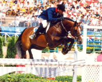 horse_quidam_de_revel-_2big