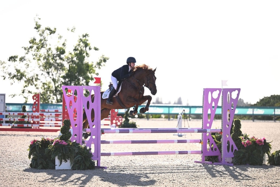 Emerelo BF YJC 3
