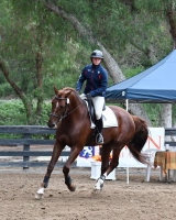 NASST 25 Emeralo BF 8641