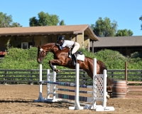 NASST 25 Emeralo BF 8195