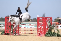 Linda 1.30m win 8 25